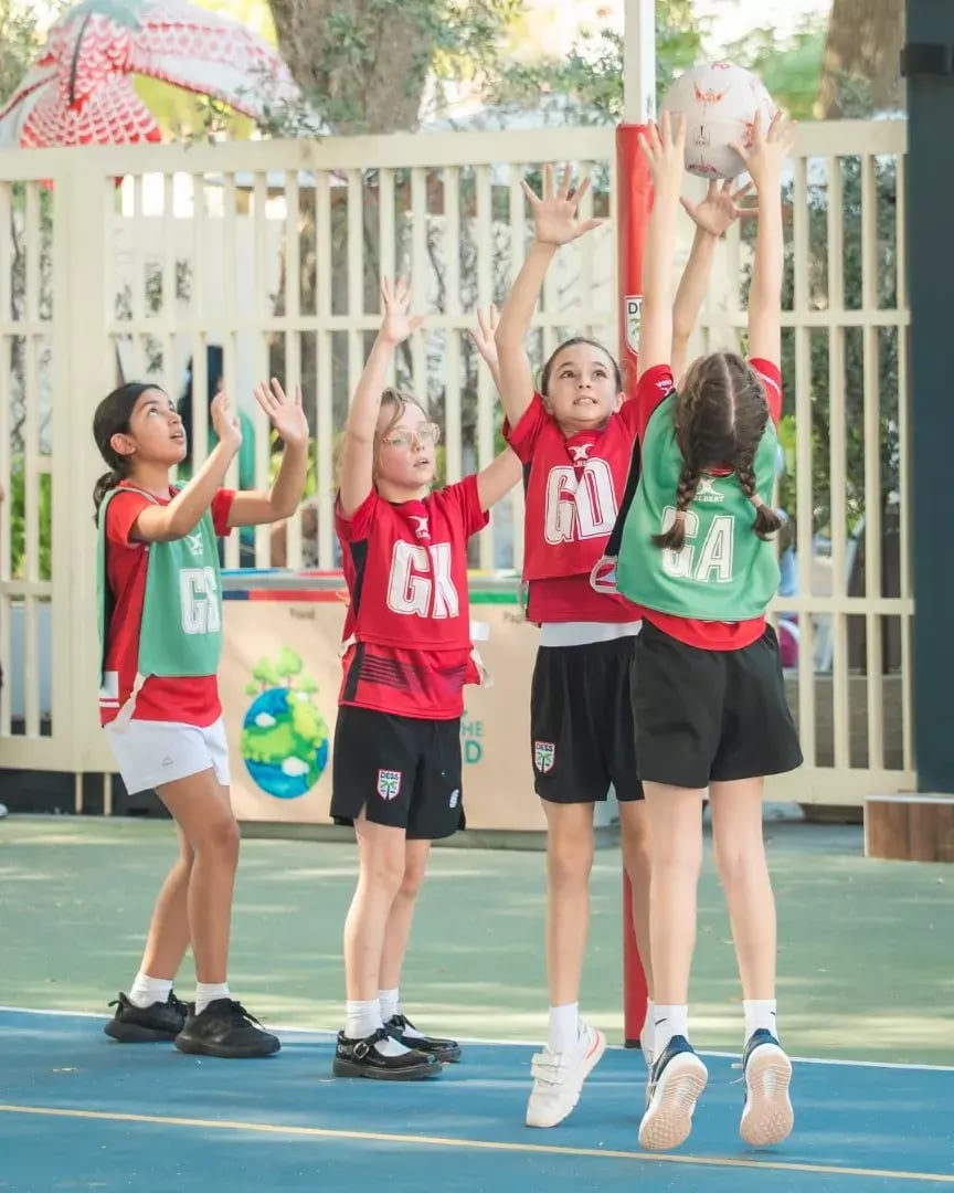 dacvsdom41-large-692007d78609b