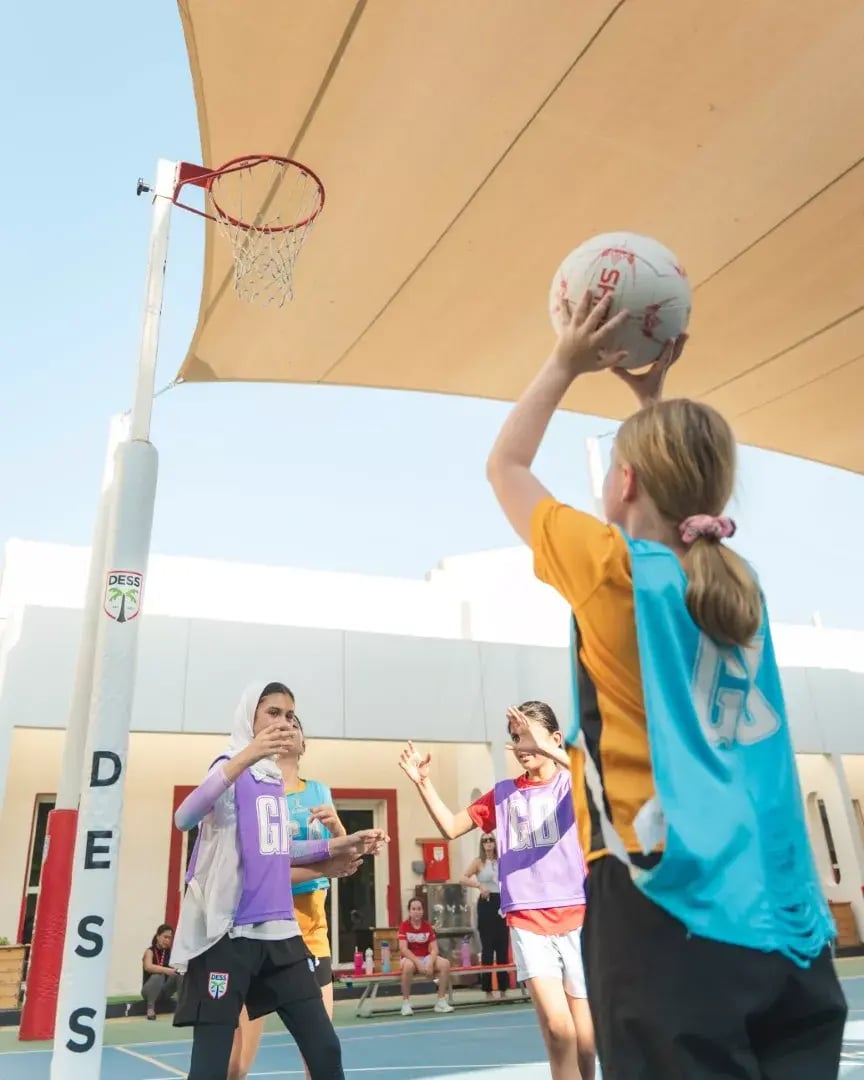 dacvsdom46-large-692007d856c74