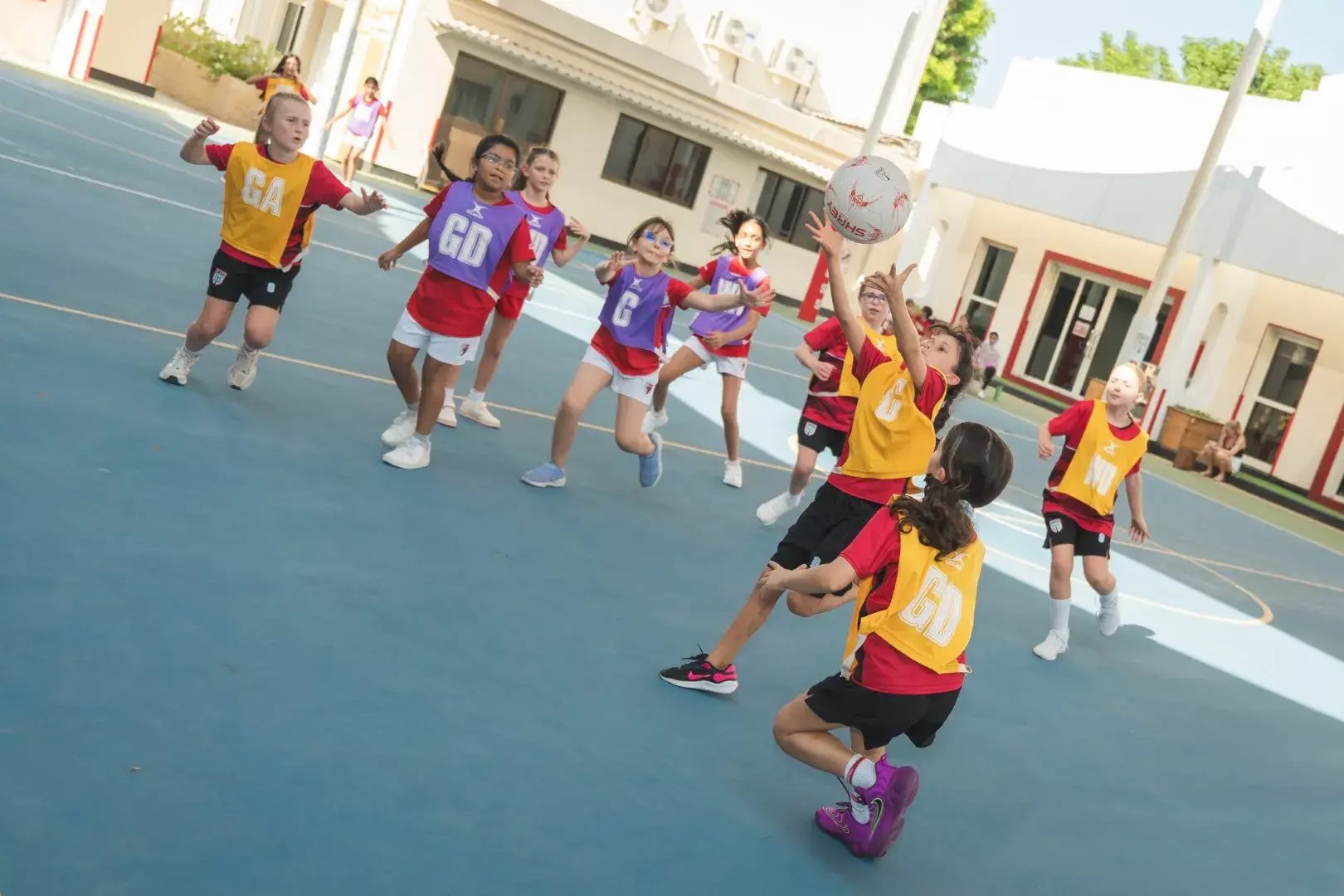 dacvsdom9-large-692007d4ce705