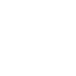 camera (1)